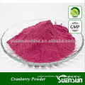 Factory supply cranberry powder in bulk